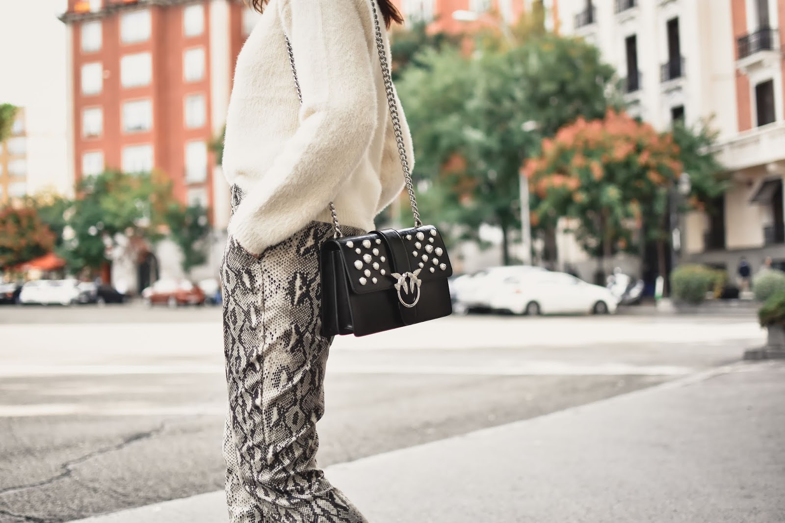 el-blog-de-silvia-rodriguez-street-style-madrid-total-look-loavies-pantalones-serpiente-blogger-influencer