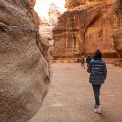 Excursión a Petra con MSC Splendida